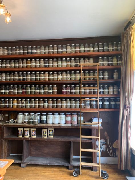 Tonics~Tinctures~Salves~Elixirs & Remedies Cute Apothecary, Witchy Apothecary Aesthetic, Chinese Apothecary Aesthetic, She Shed Apothecary, Apothecary Store Aesthetic, Apothecary Room Ideas, At Home Apothecary, Home Apothecary Room, Apothecary Office