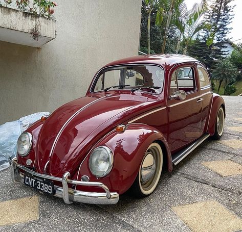 Red Beetle, Beetle Vw, Cars Aesthetic, Vw Aircooled, English Kitchens, Car Volkswagen, Car Inspiration, Vw Cars, Classy Cars