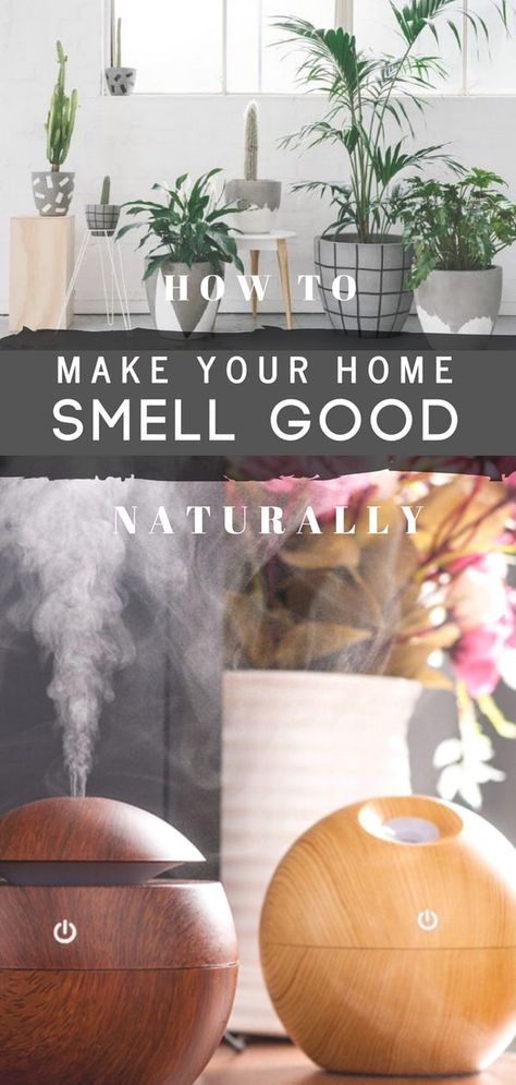 Learn how to make your house smell good at the core and all the time. Natural ways to keep your house smell good without resorting to chemicals that just cover the smell. Use plants, diffuser, natural oils and candles for a nice pleasant smell. #homesmells #cleaninghacks #cleaningtips #householdtips #cleaningtips #smellgood #homehacks Smell Good Naturally, Make Your Home Smell Good, Home Smell Good, Natural Room, House Smell Good, Natural Air Freshener, Home Smell, Essential Oil Diffuser Recipes, Oil Diffuser Recipes