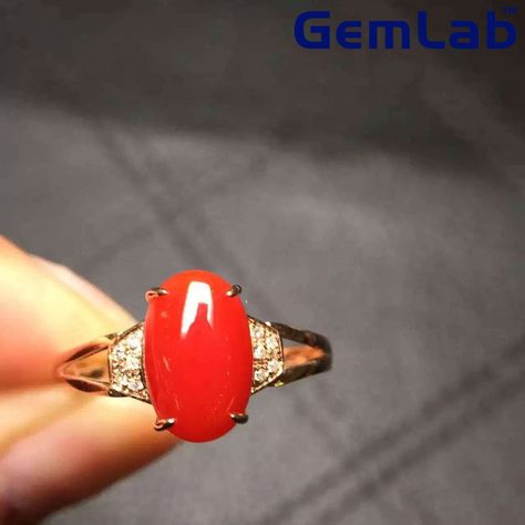 Astrological coral gemstone ring @ Gemlab.co.in Coral Rings, Coral Stone Ring, Coral Jewellery, Coral Jewelry Set, Gemstone Rings Vintage, Coral Rose, Expensive Jewelry Luxury, Coral Gemstone, Gold Rings Fashion