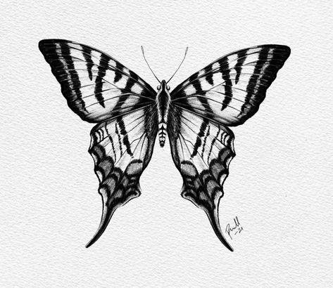 Rare Butterfly Tattoo, Retro Space Tattoo, Dark Tattoo Sketch, Dark Butterfly Tattoo, Moth Sketch, Butterfly Tattoos Images, Borboleta Tattoo, Moth Drawing, Butterfly Eyes