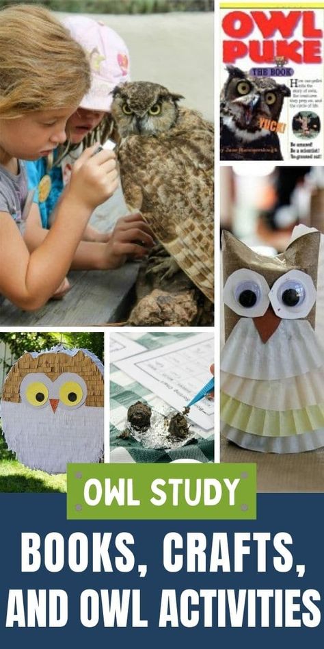 Teach Kids All About Owls With These Fun Activities | Tonya Staab Owl Study, Owl Activities, Diy Halloween Food, Storytime Ideas, Books Crafts, Parent Night, Owl Kids, Owl Books, Owl Party