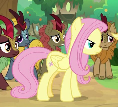 Flutter Shy, Bee Icon, Polyamorous Relationship, Mlp Memes, Mane 6, My Little Pony Poster, Discovery Kids, Fluttershy, Queen Bees