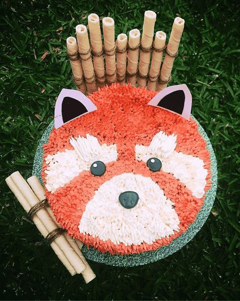 Red Panda Cupcakes, Red Panda Party Decorations, Red Panda Birthday Party Decorations, Red Panda Cake Ideas, Red Panda Birthday Party Ideas, Red Panda Party Ideas, Zoo Cake Ideas, Red Panda Birthday Party, Red Panda Party