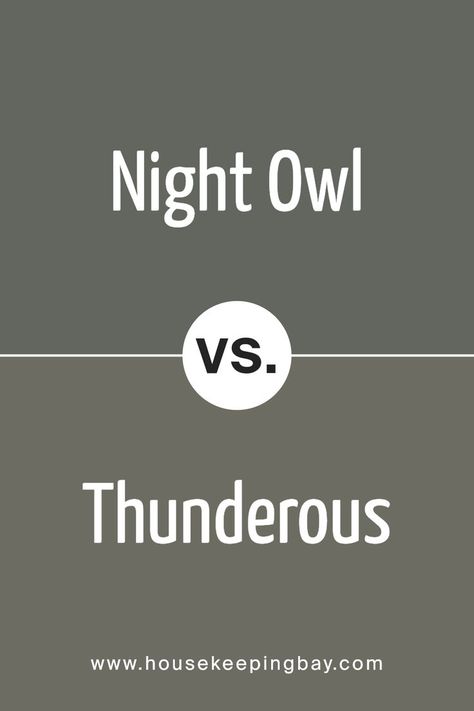 Night Owl SW 7061 by Sherwin Williams vs Thunderous SW 6201 by Sherwin Williams Thunderous Sherwin Williams, Sherwin Williams Paint Gray, Calm Mood, Sherwin Williams Gray, Trim Colors, Grey Paint Colors, Night Owl, Coordinating Colors, Sherwin Williams