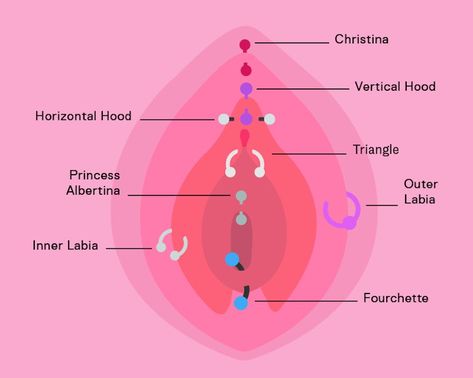 So, You Want To Get Your Genitalia Pierced Piercing Intimo, Clitoral Hood Piercing, Piercing Designs, Web Piercing, 2 Piercings, Anatomy Education, Piercings Bonitos, Orbital Piercing, Jewelry Knowledge