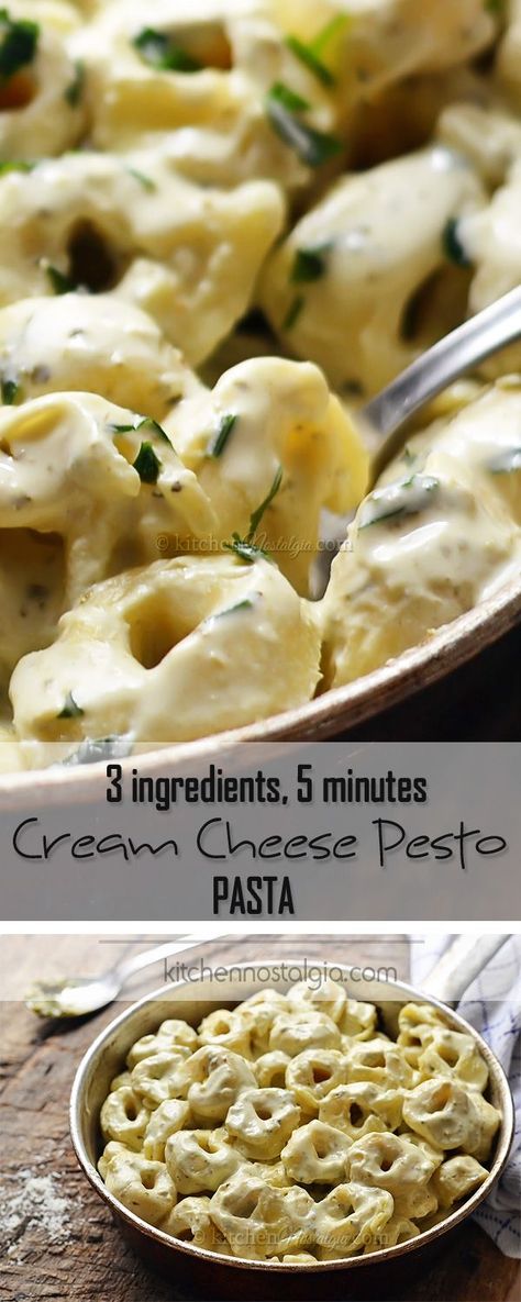 Cream Cheese Pesto Pasta, Cheese Pesto Pasta, Malai Curry, Basil Shrimp, Types Of Pasta, Cream Cheese Pasta, Sauce Pesto, Shrimp Curry, Creamy Pasta Dishes