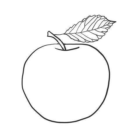 Free vector doodle apple vector | Free Vector #Freepik #freevector #hand-drawn-sketch #sketch #drawn #doodle-drawing Apple Drawing Sketch, Apple Drawing, Drawing Apple, Easy Draw, Apple Vector, Ordinal Numbers, Vector Doodle, Drawing Sketch, Doodle Drawings