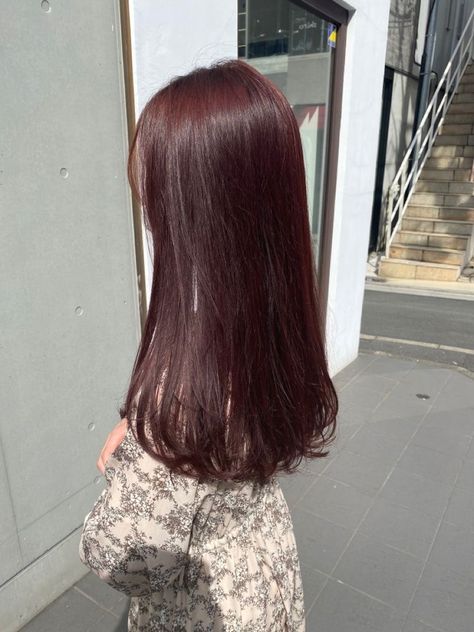 Cherry Brown Hair, Wine Hair Color, Plum Hair, Red Hair Inspo, Wine Hair, Cherry Hair, Hair Tint, Dark Red Hair, Hair Streaks