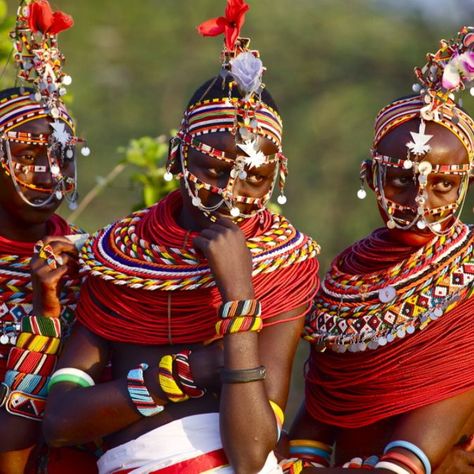 Kenya's diverse cultural heritage is truly fascinating! From the Maasai people with their vibrant red attire to the traditional music and dance of the Samburu, a visit to Kenya offers a unique opportunity to immerse yourself in rich and diverse cultures. Contact our dedicated Tribal Adventures Specialists today and embark on a journey of discovery. Reach out to us via ☎️ +254712419214 or info@tribaladventures.co.ke . . . . . . #tribaladventures #discoverkenya #travel #adventures #luxurygatea... Wee Folk Studio, Salley Mavor, Stop Motion Photography, Maasai People, Bayeux Tapestry, Music And Dance, Lady Doll, Traditional Music, Maasai