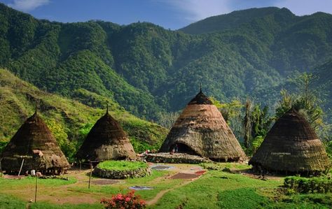 Wae Rebo, Satar Lenda, Kecamatan Satarmese Barat, Kabupaten Manggarai Propinsi Nusa Tenggara Timur Wae Rebo, Nusa Tenggara Timur, Komodo Island, Global Village, Labuan, Traditional Houses, Thousand Islands, Vernacular Architecture, Traditional Building