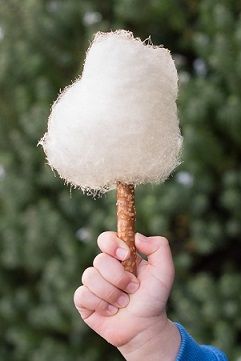 White Cotton Candy Aesthetic, Cotton Candy Sticks Diy, Cotton Candy Fall Festival, Christmas Cotton Candy Ideas, Diy Cotton Candy Cones, Cotton Candy Cones Diy, Cotton Candy Stand, Cotton Candy Sticks, Cotton Candy Cone