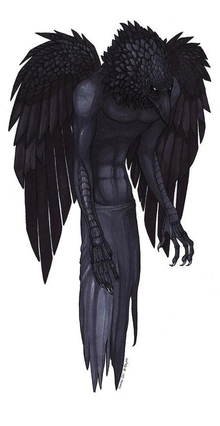 Raven Humanoid, Crow Humanoid, Crow Human Hybrid, Raven Costume Ideas, Black Raven Costume, Raven Person, Crow Hybrid, Raven Monster, Crow God