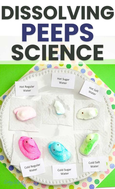 The kids are going to love this Simple Dissolving Peeps Science Experiment! This is a great way to showcase a fun science experiment with Easter fun, too! Peeps Experiment, Peeps Science Experiment, Easter Science Experiments, Easter Learning Activities, Easter Science, Fun Stem Activities, Science For Toddlers, I Choose Joy, School Age Activities