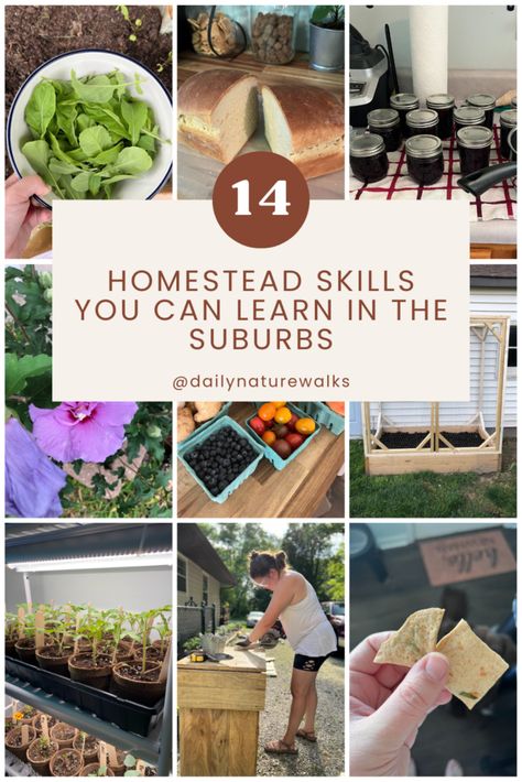 14 homestead skills you can learn in the suburbs (while saving for land) Homestead Without Land, Homestead Skills To Learn, Beginner Homesteading Skills, Homesteading In The Suburbs, Homesteading In Town, Urban Homesteading For Beginners, Home Steading, Micro Homesteading, Homestead Apartment