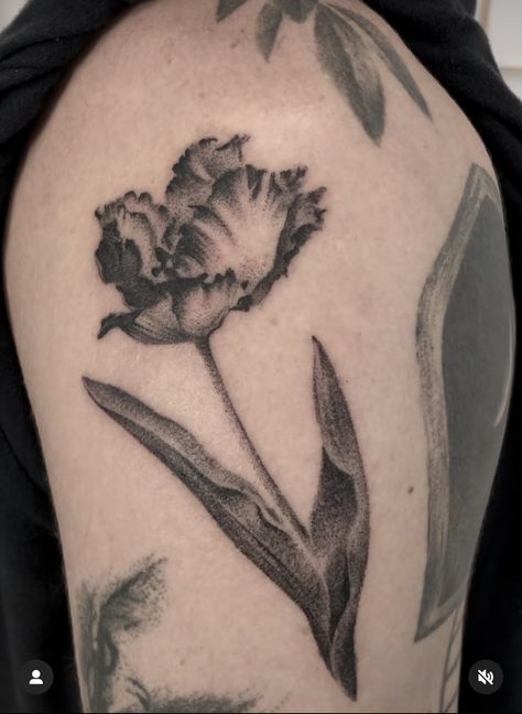 Black And Grey Tattoo Ideas, Vintage Botanical Tattoo, High Contrast Tattoo, Black Flowers Tattoo, Cupid Tattoo, Illusion Tattoos, Optical Illusion Tattoos, Pumpkin Tattoo, Optical Illusion Tattoo