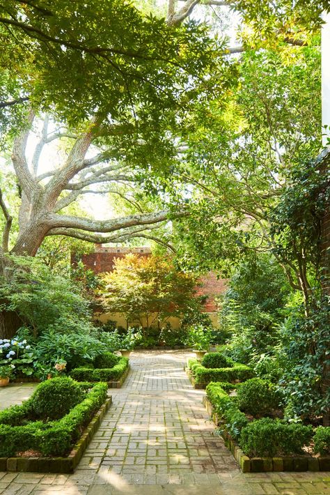 The brick walk that connects the rooms is framed by an assortment of trees and shrubs. #southerngardening #curbappeal #southerngardenideas #landscapingideas #gardendesign #southernliving Lawn Free Yard, Moss Lawn, French Hydrangea, Charleston Gardens, No Grass Backyard, Small Courtyard Gardens, Southern Garden, Lush Lawn, Shade Trees