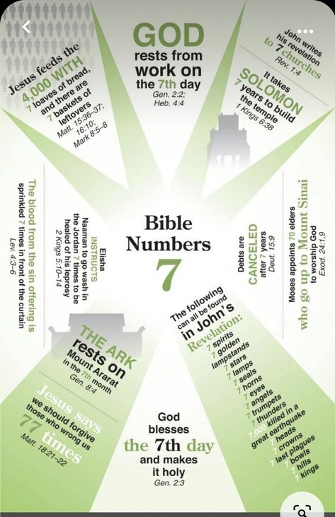 Hebrew Numbers, Bible Infographics, Bible Summary, Bible Genealogy, Revelation Bible, Bible Study Help, Bible Words Images, Understanding The Bible, Bible Study Methods