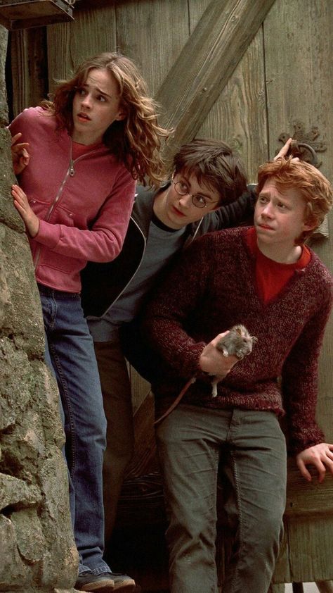 Harry Potter Trio, Michael Angarano, Citate Harry Potter, Harry Porter, Harry Potter Wall, Potter Aesthetic, Buku Harry Potter, Harry Potter Images, Images Harry Potter