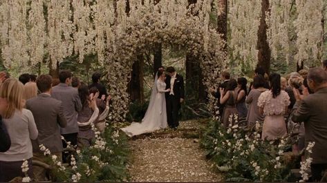 Twilight Wedding Scene, Bella And Edward Wedding, Breaking Dawn Wedding, Bella Y Edward, Twilight Party, Twilight Wedding, Swan Wedding, Forest Theme Wedding, Bella Wedding