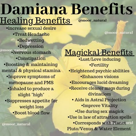 Healing & Magickal Benefits of Damiana Damiana Magical Uses, Damiana Herb Benefits, Damiana Recipes, Damiana Tea Benefits, Damiana Magical Properties, Damiana Plant, Chickweed Benefits, Damiana Benefits, Damiana Herb