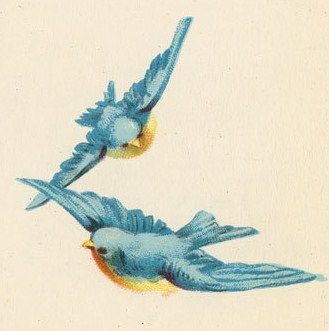 Blue Bird Illustration Vintage, Two Blue Birds, Vintage Blue Bird Art, Bird Art Flying, Flying Bird Art Painting, Bird Painting Flying, Vintage Bird Drawing, Flying Birds Illustration, Blue Birds Painting