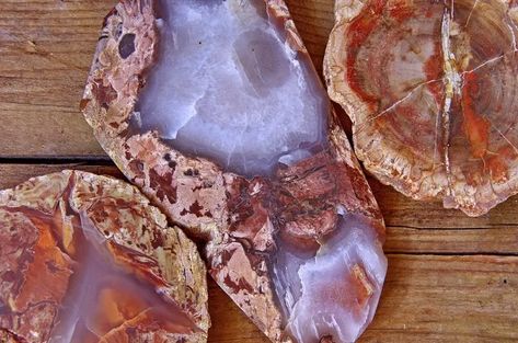 How To Polish Petrified Wood Without a Tumbler (Step-By-Step Guide) - Rock Seeker Polishing Rocks, Rock Tumbler Diy, List Of Crystals, How To Polish Rocks, Polishing Compound, Rocks And Fossils, Bench Grinder, Tile Saw, Types Of Crystals