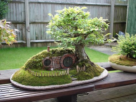 Bag End Bonsai Trayscape - Bonsai Empire Fairy Tent, Broken Pot Garden, Dinosaur Garden, Garden Ideas To Make, Beautiful Home Gardens, Fairy Garden Houses, Miniature Trees, Fence Decor, Bonsai Garden