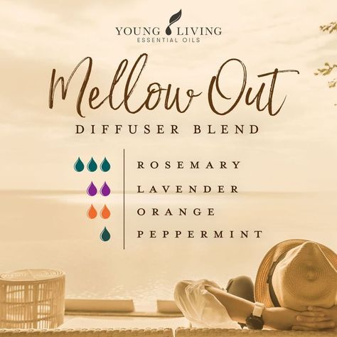 Young Living AU NZ on Instagram: “Weekend vibes ☺️ Sit back and relax with this Mellow Out diffuser blend that combines Rosemary, Lavender, Orange, and Peppermint essential…” Essential Oil Combinations, Doterra Essential Oils Recipes, Essential Oil Diffuser Blends Recipes, Essential Oil Remedy, Young Living Essential Oils Recipes, Essential Oils Guide, Essential Oil Diffuser Recipes, Oil Diffuser Recipes, Essential Oil Blends Recipes