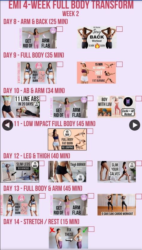 Emi Wong Workout Plan, Emi Wong Workout, Full Body Transformation Workout, Emi Wong, Kpop Workout, Free Workout Programs, Shred Workout, Transformation Workout, Full Body Workout Plan