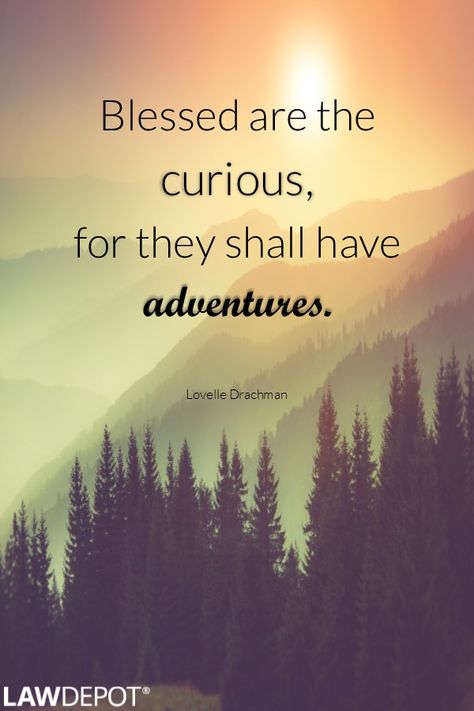 Quote: "Blessed are the curious, for they shall have adventures." —Lovelle… Blessed Are The Curious For They Shall, Quotes Shine, Blessed Are The Curious, Trail Life, Say What You Mean, Blessed Are Those, Blessed Quotes, Food Quotes, Explore Nature