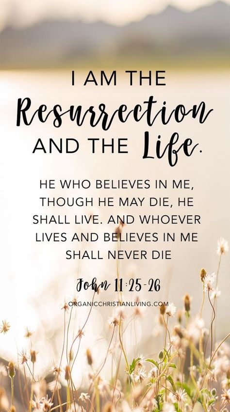 10 Easter Bible Verses To Pray Through | FaithHub Resurrection Quotes, Easter Quotes Christian, Easter Bible Verses, Bible Verses About Strength, Quotes Christian, Easter Quotes, Bible Quotes Images, Quotes Bible, Christian Bible Quotes