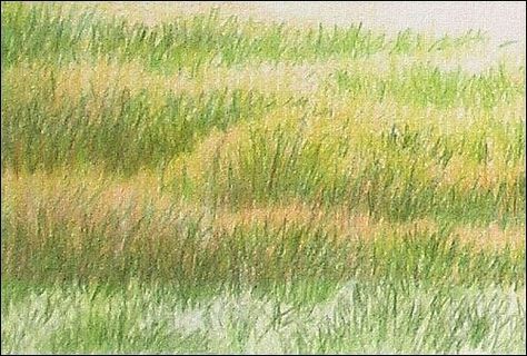 ● ○ ● Grass with color pencil ● ○ ● Color Pencil Texture, Colour Pencil Art Landscapes, Drawing Art Projects, Watercolor Pencils Techniques, Grass Drawing, Color Pencil Illustration, Pencil Painting, Colored Pencil Techniques, 캐릭터 드로잉