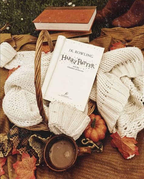 Harry Potter Autumn Aesthetic, Fall Harry Potter Aesthetic, Fall Aesthetic Books, Fall Bookstagram, Harry Potter Fall Aesthetic, Fall Harry Potter, Harry Potter Autumn, Downtown Autumn, Harry Potter Fall