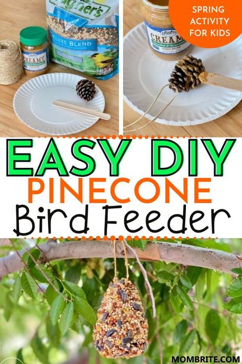 Pinecones Bird Feeder, Birdseed Crafts For Kids, Bird Feeder Craft Preschool, Pine Cone Bird Feeders For Kids To Make, Pinecone Activities Preschool, Pinecone Activities For Toddlers, Birdfeeders Kids Can Make, Egg Carton Bird Feeder, Kids Bird Feeder Crafts