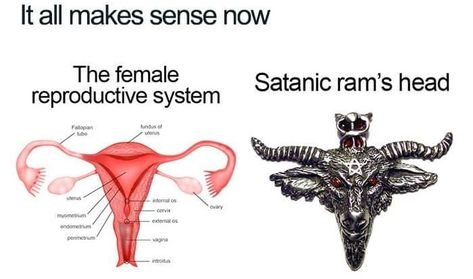 Bicornuate Uterus, I'm A Failure, Female Reproductive System, Fallopian Tubes, Ram Head, Reproductive System, Egyptian Gods, Written By, Ram