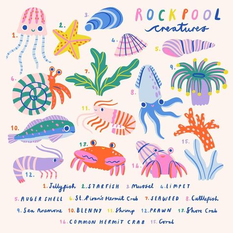 Rachel Carter | I thought it would be cute to turn my rockpool creatures into an identification chart style illustration! I think my fave is the little… | Instagram Underwater Castle Drawing, Cute Ocean Illustration, Seahorse Illustration Cute, Summer Animal Illustration, Different Illustration Styles, Rockpool Illustration, Starfish Doodle, Keys Illustration, Starfish Illustration