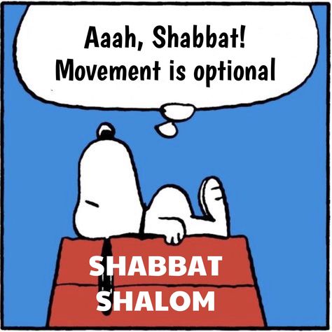 Good Shabbos Funny, Shabbat Shalom Quotes, Good Shabbos, Happy Sabbath Images, Sabbath Quotes, Shabbat Shalom Images, Peanut Gang, Happy Halloween Pictures, Candle Lighting