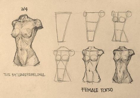 Learn How “I” Draw Female Torso in Three different angles: Torso Shading Reference Female, Simple Torso Drawing, Drawing Women Bodies Tutorial, Torso Reference Woman, Learning To Draw Bodies, Person Sitting At Table Drawing, Art Tutorials Anatomy, Women’s Anatomy Drawing, Drawing Body Types Female