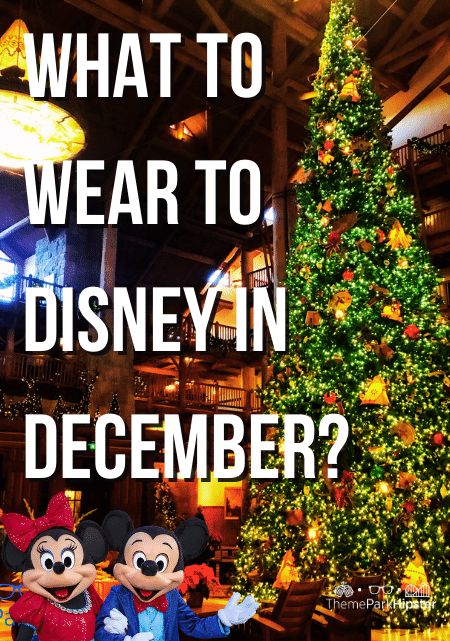 Disney World Packing List 2023, What To Wear To Disney In December, Orlando In December Outfits, Disney World Christmas Outfit For Women, Disney Outfits For December, Universal Christmas Outfit, Disney World Holiday Outfits, Disneyland Christmas Outfit Family, Disney In December Outfits What To Wear