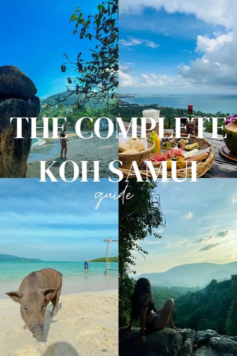 The Complete Travel Guide to Koh Samui: Everywhere you’ll have to visit & my top tips for the island - Travels by Izzy Pig Island, Buddha Garden, Ko Samui, Adventure Guide, Koh Samui, Island Travel, Top Tips, Trip Planning, Backpacking