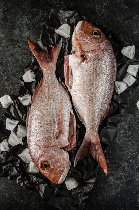 Whole Baked Snapper with Fennel and Lemon Fresh Fish Photography, Fish Food Photography, Baked Snapper, Herbed Potato Salad, Fish Photography, Surealism Art, Fresh Fish, Jolie Photo, Fish Dishes