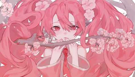 Sakura Miku Wallpapers Pc, Sakura Miku Banner, Sakura Miku Wallpapers, Artstyle Ideas, Anime Pc, Commission Ideas, Pink Wallpaper Desktop, Sakura Wallpaper, Keyboard Themes