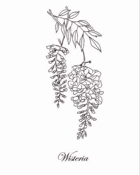 Wisteria Tattoo Black, Fine Line Wisteria Tattoo, Wisteria Tree Tattoo, Wisteria Drawing, Wisteria Flower Tattoo, Wisteria Tattoo, Rosemary Tattoo, Lake Tattoo, Bts Tattoos