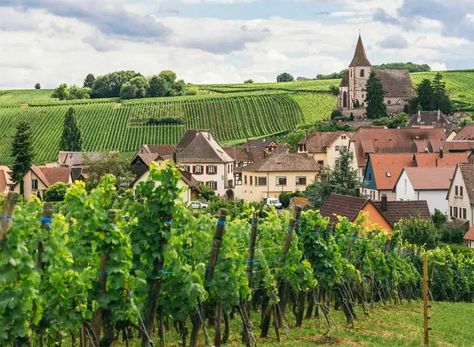 Something New Everyday, Burgundy France, Regions Of France, Romanesque Architecture, Learn Something New Everyday, Learn Something New, Loire Valley, French Countryside, Burgundy Wine