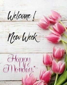 Happy Monday Happy New Week, Happy New Week Images, New Week Quotes Mondays, Happy New Week Mondays, Monday Wishes New Week, Good Morning Happy Monday New Week, New Week Blessings Happy Monday, Monday New Week Quotes, Happy Monday Morning Beautiful