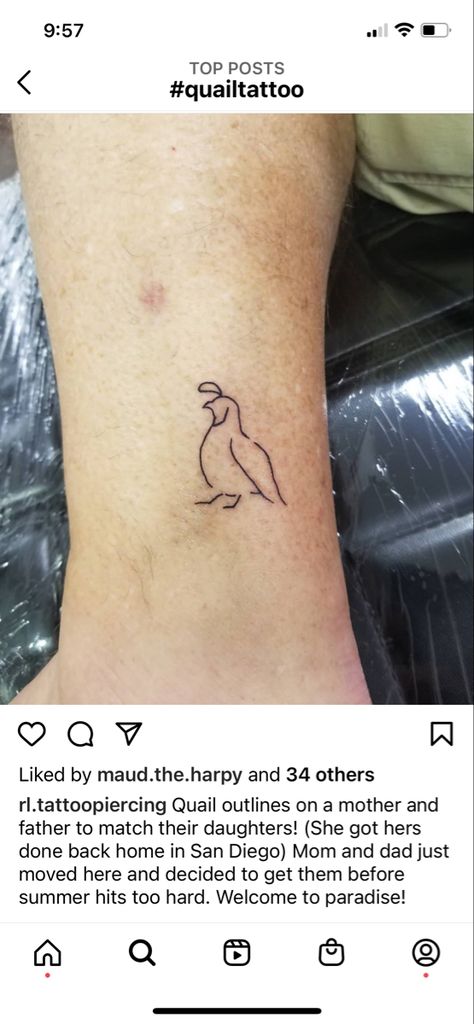 Small Quail Tattoo, Quail Feather Tattoo, Quail Family Tattoo, Partridge Tattoo, California Quail Tattoo, Quail Tattoo Simple, Bobwhite Quail Tattoo, Quail Drawing Simple, Quail Tattoo Ideas