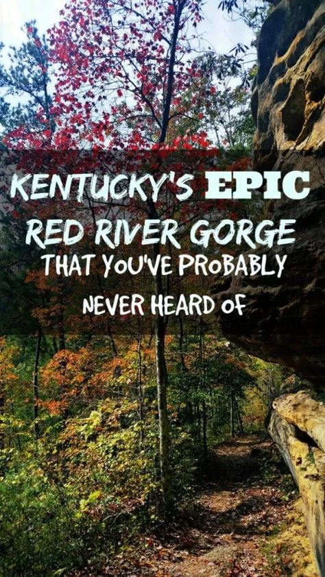 Manifesting Travel, Kentucky Hiking, Kentucky Camping, Red River Gorge Kentucky, Kentucky Vacation, Kentucky Travel, Red River Gorge, Goodbye Summer, Camping Destinations