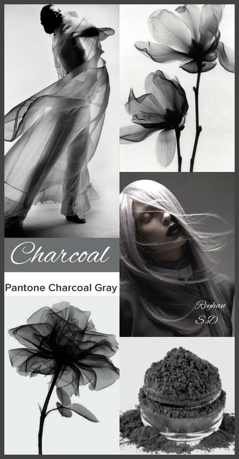 '' Charcoal Grey - Pantone'' by Reyhan S.D. Color Palettes For Home, Grey Pantone, Mood Boards Color, Home Color Ideas, Blending Pencil, Graphic Design Color, Home Color Palette, Palettes Color, Living Colors