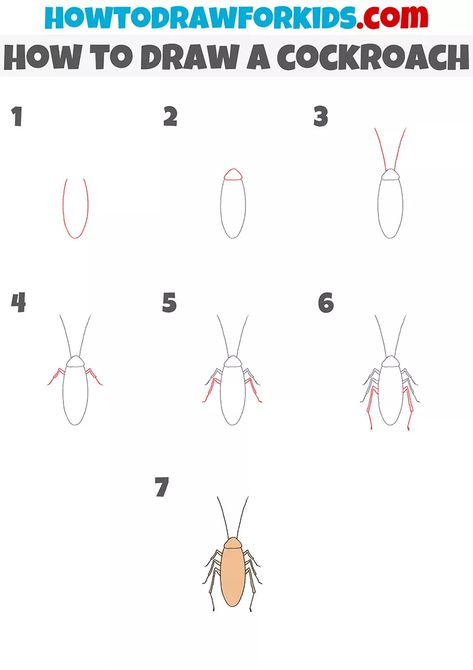 Cockroach Drawing Cute, Draw Cockroach, Cockroach Drawing, Colored Pencil Drawing Tutorial, Fly Drawing, Sketching Tips, Pencil Drawing Tutorials, Draw Animals, Easy Drawing Tutorial